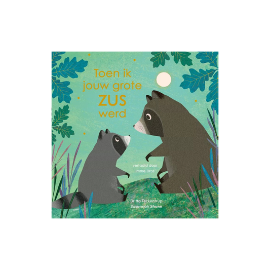 Voorleesboek - Toen ik jouw grote zus werd - 3+ jaar - Egmont Toys