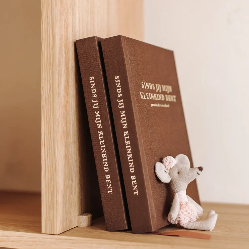 Sinds jij mijn kleinkind bent – Livre à remplir pour grands-parents avec souvenirs et leçons de vie sur 10 ans – Birth Lines